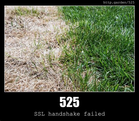 525 SSL Handshake Failed - HTTP status code and gardens!