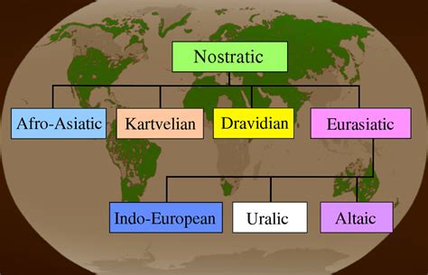 What is the Nostratic linguistic Macrofamily?