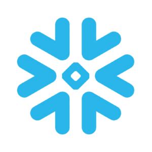 Snowflake Data Clear Logo 的图像结果