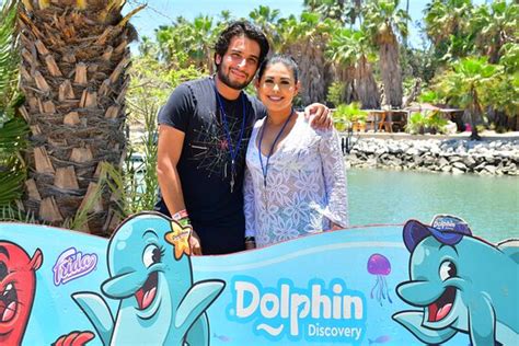 Dolphin Discovery Los Cabos (San Jose del Cabo) - 2022 What to Know ...