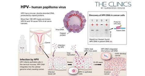 HPV Vaccine and Cervical Cancer: How it Works and why it Matters