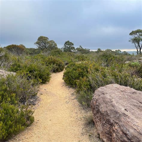 BOMBALA LOOKOUT (2026) All You Need to Know BEFORE You Go (with Photos ...