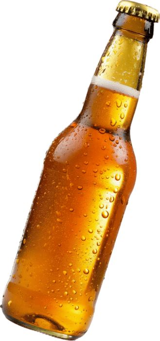Beer Bottle PNGs for Free Download