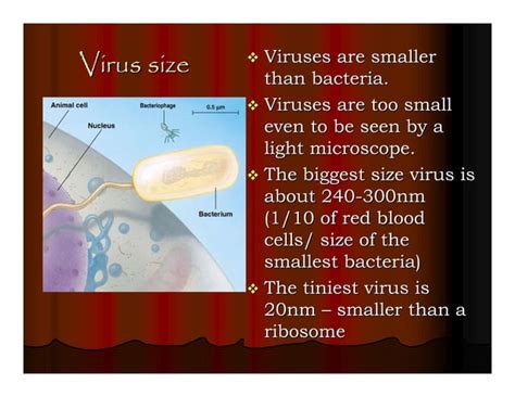 Image result for Viruses Explained