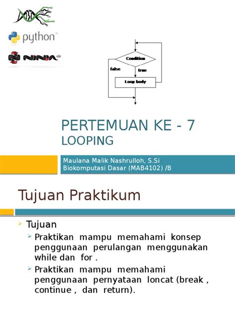 Image result for Looping Python