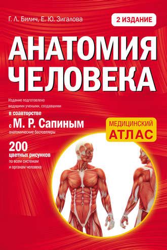 Книга Анатомия человека - скачать бесплатно в epub, fb2, pdf, txt ...