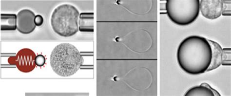 Spie-chapter IISER-K