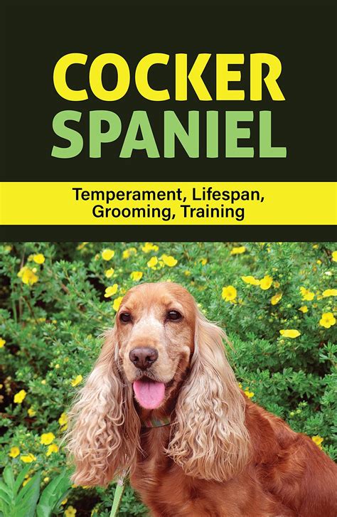 Cocker Spaniel: Temperament, Lifespan, Grooming, Training: How To ...