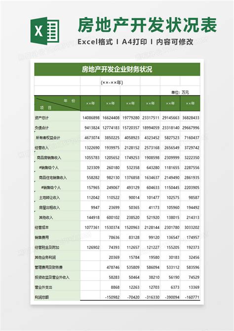 房地产开发企业财务状况Excel模板下载_熊猫办公