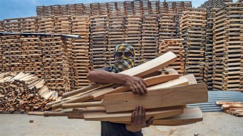 Cricket bats of Kashmir | Wind in the willow - India Today