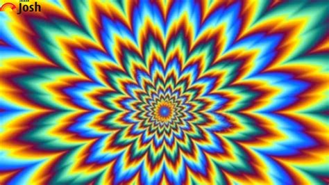 Using Your Hawk-Eye With 6/6 Eye-Vision, Find Out Which Animal is ...