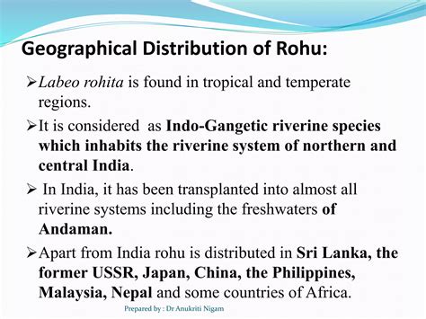 Mapping The Geographical Distribution Of Labeo Rohita