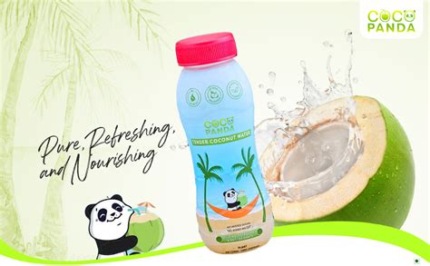 Coco Panda Tender Coconut Water - Pack of 24 (each 200 ml) | Extracted ...