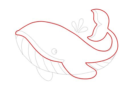 Steps To Draw A Whale