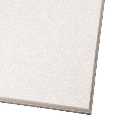Mold Resistant 1-ft x 2-ft Ceiling Tiles Near Me at Lowes.com
