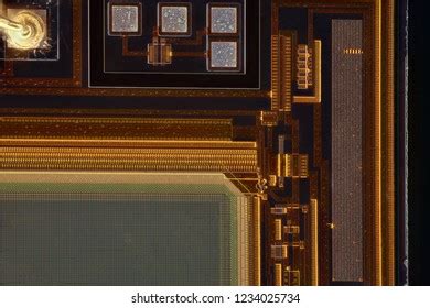Camera Sensor Under Microscope 的图像结果
