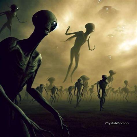 Alien Effect 2024 的图像结果