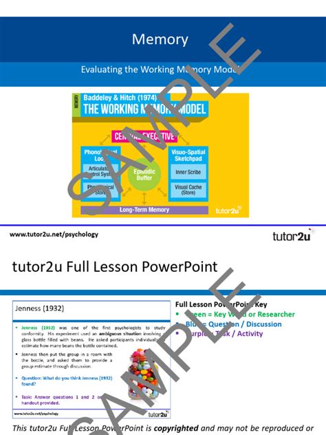 Image result for Working Memory Model Example