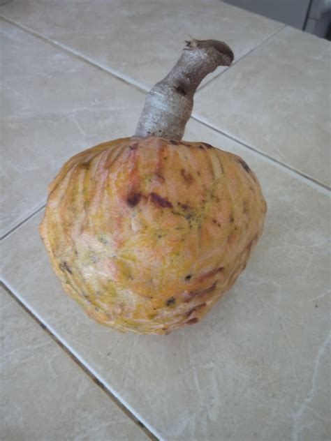 Mamon Fruta