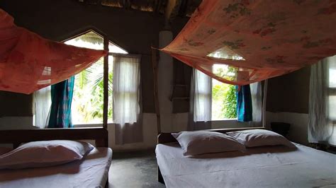 BACKPACKERS ECO VILLAGE (Satjelia) - Hotel Reviews, Photos, Rate ...