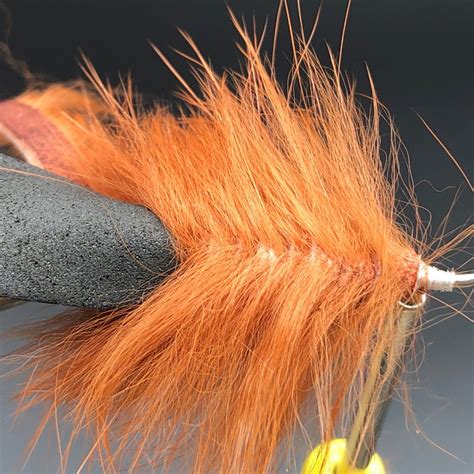 Image result for Master Splinter Fly