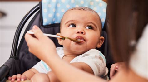 Tips for New Parents on How to Feed Babies - Baby Forest