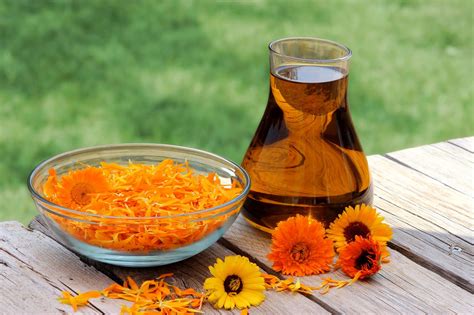 Calendula Oil: Health Benefits, Nutrition and More..