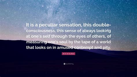 W. E. B. Du Bois Quote: "It is a peculiar sensation, this double ...