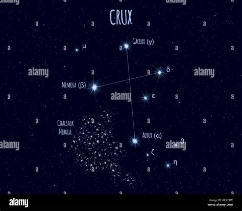 Crux (The Southern Cross) constellation, vector illustration with the ...
