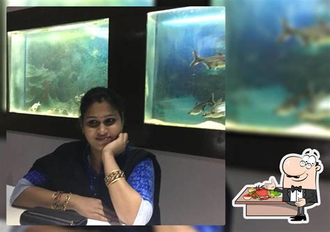 MY Restaurant VIZAG, Visakhapatnam