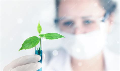 Agriculture Scientist 的图像结果