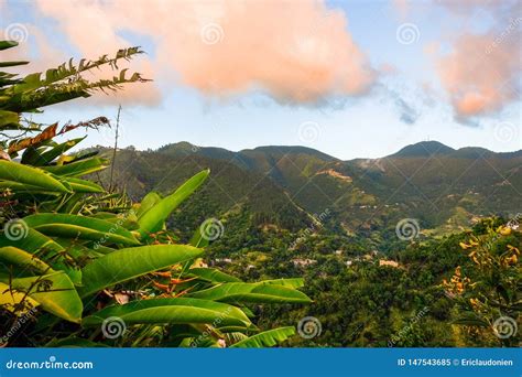 Jamaican-the Blue Mountains-Sunset 3 Stock Image - Image of outdoor ...