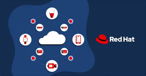 Image result for Remove Background Red Hat Netting