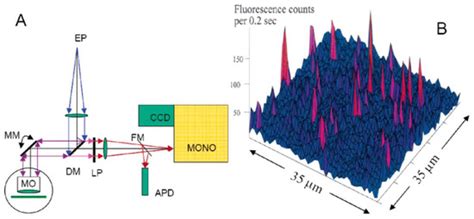 High-Resolution Frequency-Domain Spectroscopic and Modeling Studies of ...