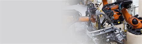 Dr. C.V.Raman University