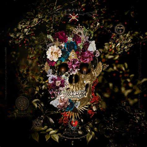 Image result for Allegory Visualization Software