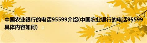 中国农业银行的电话95599介绍(中国农业银行的电话95599具体内容如何)_公会界