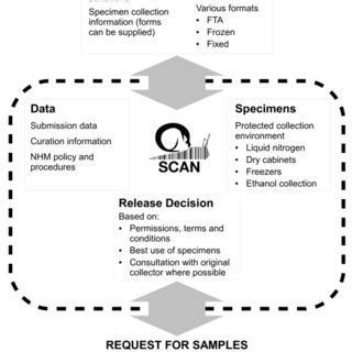 Scan Method in Operating System 的图像结果