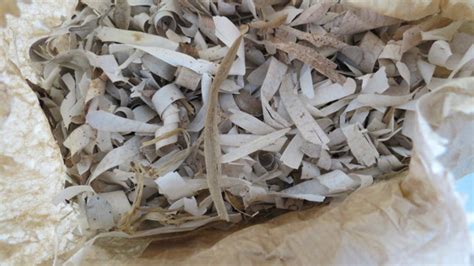 Image result for Papermaking at Home