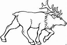 malvorlagen tiere zum ausdrucken quiz gehender elch ausmalbild malvorlage tiere malvorlagen tiere zum ausdrucken quiz gehender elch ausmalbild malvorlage tiere