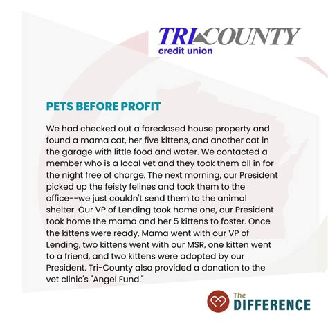 The Wisconsin Credit Union League on LinkedIn: #storysaturday