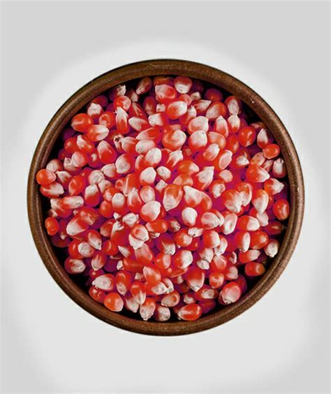 Foody - Organic Food Website Template