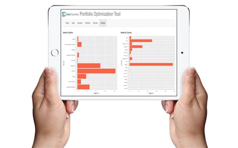 Image result for Portfolio Optimization Software