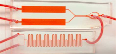 Image result for Lab On-Chip Protein Crystallisation