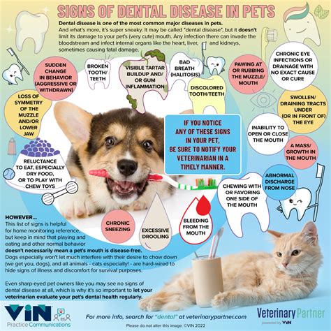 signs of dental disease