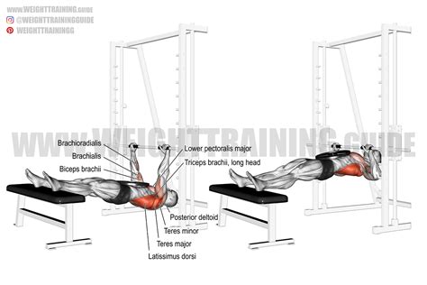 Image result for Inverted Row Workout