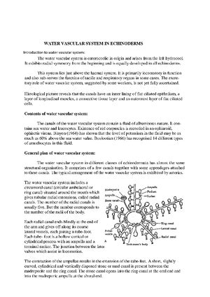 Water canal system in sponges - Phylum porifera - Bsc zoology - UoK ...