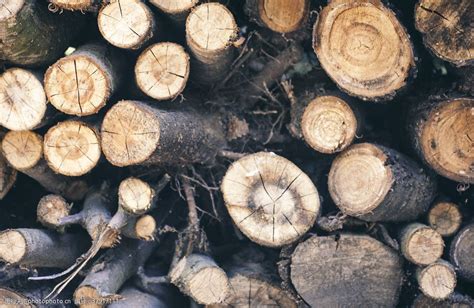 记录木头 库存照片. 图片 包括有 日志, 结构树, 环境, 记录, 材料, 原始, 行业, 剪切, 木材 - 20369618