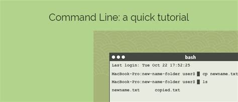Command Line Tutorial 的图像结果