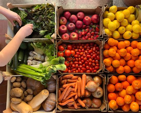 How to Incorporate More Fresh Fruits and Vegetables into Your Diet | Cosmo Appliances